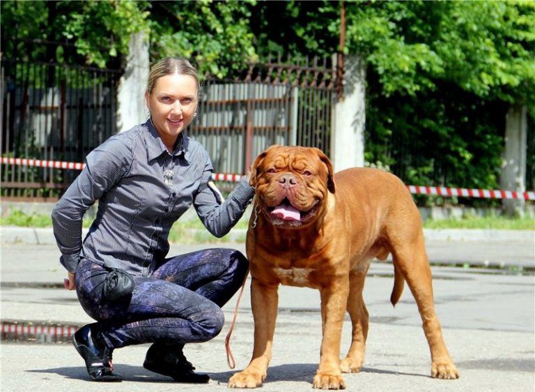 Бордосский дог фото с человеком