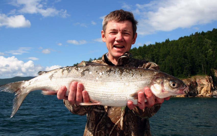 Рыбы озера Байкал: фото и название